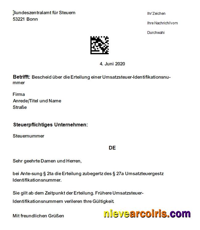 Philippines Tonik Digital Bank Inc. consolidated statement, 2 pages, SCR